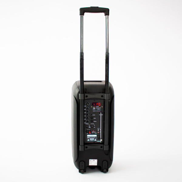 Портативная беспроводная bluetooth колонка  Eltronic DANCE BOX 200 арт. 20-07 с двумя беспроводными микрофонами и пультом дистанционного управления